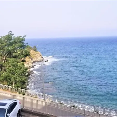 T3 A Banyuls, Climatise, Proche - Fr-1-309-281 Apartment